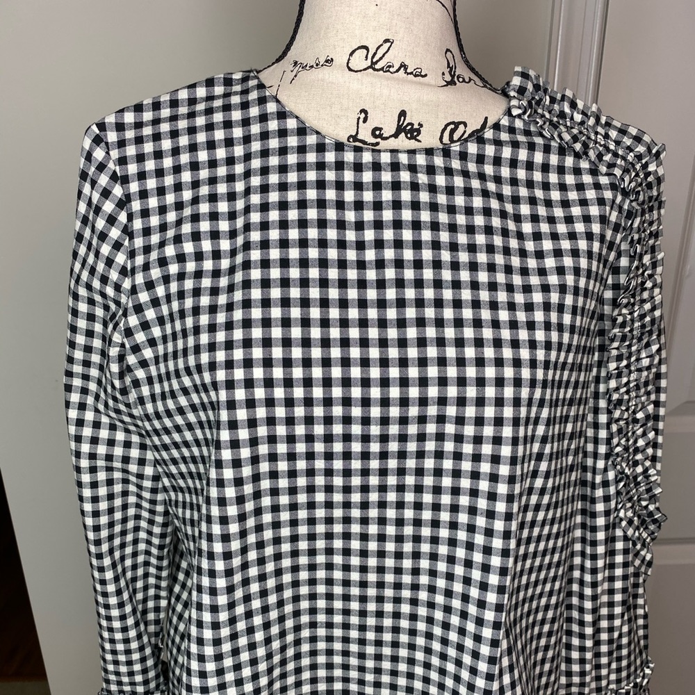 Zara Trafraluc Gingham Ruffle Sleeve Blouse